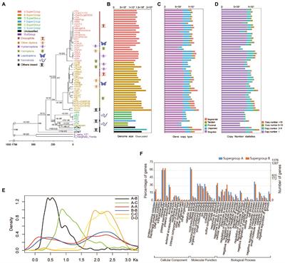 Pangenomic analysis of Wolbachia provides insight into the evolution of host adaptation and cytoplasmic incompatibility factor genes